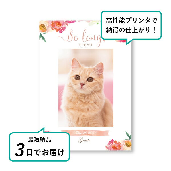 �ڥå� ���� �ե��ȥ��ꥢ��ܡ��ɡʥ����������ե� �������ԥ󥯡� A5������(�ڥå� ���� �̿� ̾�� ǯ���� ��ǰ ���� ���ꥢ�륰�å� �ڥåȶ��� �ڥå�ʩ�� ���� �� ������� ǭ ������ �ϥॹ���� Ļ ��ưʪ �פ��� ���襤�� �������)