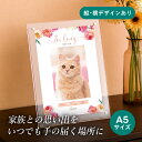 フォトメモリアルボード(ウォーターフラワー コーラルピンク) A5サイズ(ペット 位牌 写真 名前 年月日 記念 形見 メモリアルグッズ ペット供養 ペット仏壇 初盆 犬 わんちゃん 猫 うさぎ ハムスター 鳥 小動物 思い出 かわいい おしゃれ)