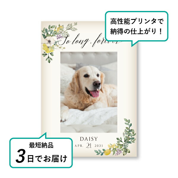 �ڥå� ���� �ե��ȥ��ꥢ��ܡ��ɡʥϡ��֡��ɡ��ץ��Х� design.01�� A5������(�ڥå� ���� �̿� ̾�� ǯ���� ��ǰ ���� ���ꥢ�륰�å� �ڥåȶ��� �ڥå�ʩ�� ���� �� ������� ǭ ������ �ϥॹ���� Ļ ��ưʪ �פ��� ���襤�� �������)