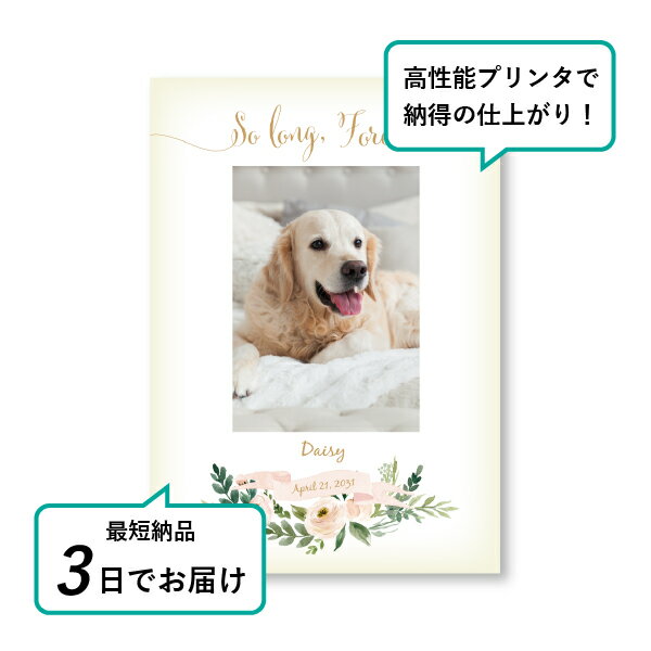 �ڥå� ���� �ե��ȥ��ꥢ��ܡ��ɡʥϡ��֡��ɡ��ץ��Х� design.03�� A4������(�ڥå� ���� �̿� ̾�� ǯ���� ��ǰ ���� ���ꥢ�륰�å� �ڥåȶ��� �ڥå�ʩ�� ���� �� ������� ǭ ������ �ϥॹ���� Ļ ��ưʪ �פ��� ���襤�� �������)