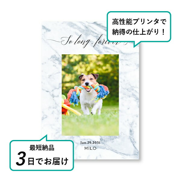 �ڥå� ���� �ե��ȥ��ꥢ��ܡ��ɡʥޡ��֥� ���⡼����������ɡ� A4������(�ڥå� ���� �̿� ̾�� ǯ���� ��ǰ ���� ���ꥢ�륰�å� �ڥåȶ��� �ڥå�ʩ�� ���� �� ������� ǭ ������ �ϥॹ���� Ļ ��ưʪ �פ��� ���襤�� �������)