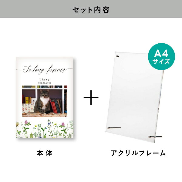 PIARY(ピアリー)楽天市場店のペット 位牌 フォトメモリアルボード（ハーバルフローラ） A4サイズ(ペット 位牌 写真 名前 年月日 記念 形見 メモリアルグッズ ペット供養 ペット仏壇 初盆 犬 わんちゃん 猫 うさぎ ハムスター 鳥 小動物 思い出 かわいい おしゃれ)｜アングル2