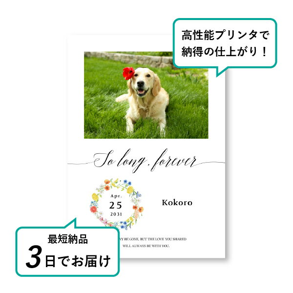 �ڥå� ���� �ե��ȥ��ꥢ��ܡ��ɡʥե������쥢�⡼��� A5������(�ڥå� ���� �̿� ̾�� ǯ���� ��ǰ ���� ���ꥢ�륰�å� �ڥåȶ��� �ڥå�ʩ�� ���� �� ������� ǭ ������ �ϥॹ���� Ļ ��ưʪ �פ��� ���襤�� �������)