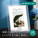 フォトメモリアルボード(ゴールドスパークル) A5サイズ(ペット 位牌 写真 名前 年月日 記念 形見 メモリアルグッズ ペット供養 ペット仏壇 初盆 犬 わんちゃん 猫 うさぎ ハムスター 鳥 小動物 思い出 かわいい おしゃれ)