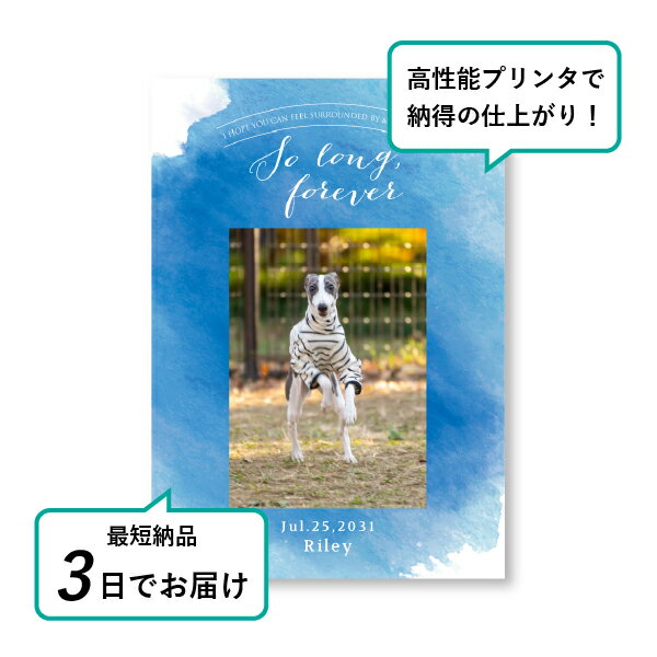 �ڥå� ���� �ե��ȥ��ꥢ��ܡ��ɡʥ�Хƥ��� A5������(�ڥå� ���� �̿� ̾�� ǯ���� ��ǰ ���� ���ꥢ�륰�å� �ڥåȶ��� �ڥå�ʩ�� ���� �� ������� ǭ ������ �ϥॹ���� Ļ ��ưʪ �פ��� ���襤�� �������)