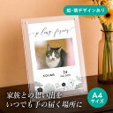 フォトメモリアルボード(ジャポネフルール) A4サイズ(ペット 位牌 写真 名前 年月日 記念 形見 メモリアルグッズ ペット供養 ペット仏壇 初盆 犬 わんちゃん 猫 うさぎ ハムスター 鳥 小動物 思い出 かわいい おしゃれ)