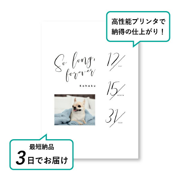 �ڥå� ���� �ե��ȥ��ꥢ��ܡ��ɡʥ��ꥰ��ա��ǥ����� A4������(�ڥå� ���� �̿� ̾�� ǯ���� ��ǰ ���� ���ꥢ�륰�å� �ڥåȶ��� �ڥå�ʩ�� ���� �� ������� ǭ ������ �ϥॹ���� Ļ ��ưʪ �פ��� ���襤�� �������)