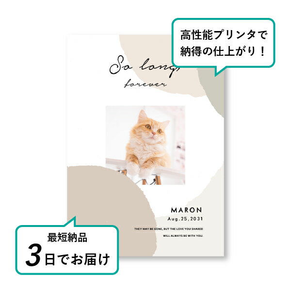 �ڥå� ���� �ե��ȥ��ꥢ��ܡ��ɡʥ���ե顼���� ���졼����� A4������(�ڥå� ���� �̿� ̾�� ǯ���� ��ǰ ���� ���ꥢ�륰�å� �ڥåȶ��� �ڥå�ʩ�� ���� �� ������� ǭ ������ �ϥॹ���� Ļ ��ưʪ �פ��� ���襤�� �������)