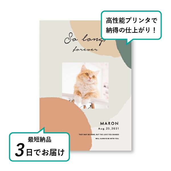 �ڥå� ���� �ե��ȥ��ꥢ��ܡ��ɡʥ���ե顼���� ����󥸡� A5������(�ڥå� ���� �̿� ̾�� ǯ���� ��ǰ ���� ���ꥢ�륰�å� �ڥåȶ��� �ڥå�ʩ�� ���� �� ������� ǭ ������ �ϥॹ���� Ļ ��ưʪ �פ��� ���襤�� �������)