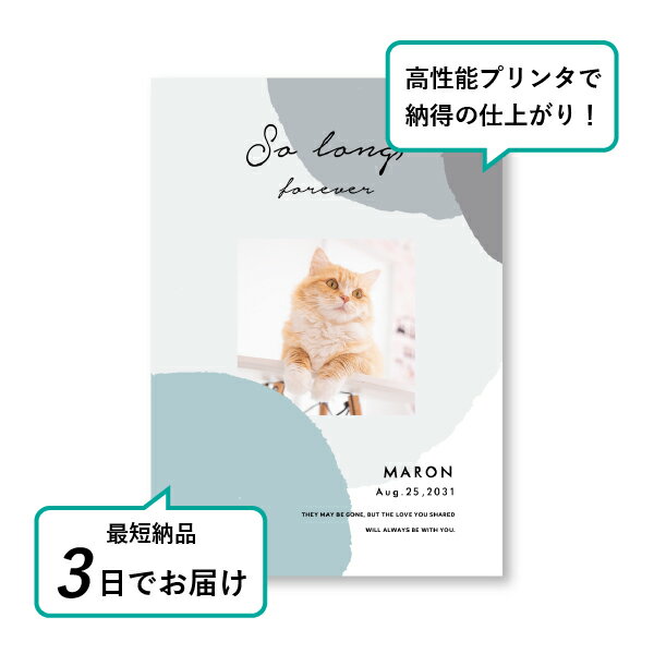 �ڥå� ���� �ե��ȥ��ꥢ��ܡ��ɡʥ���ե顼���� �֥롼�� A5������(�ڥå� ���� �̿� ̾�� ǯ���� ��ǰ ���� ���ꥢ�륰�å� �ڥåȶ��� �ڥå�ʩ�� ���� �� ������� ǭ ������ �ϥॹ���� Ļ ��ưʪ �פ��� ���襤�� �������)