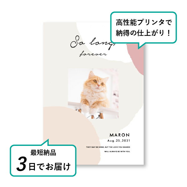 �ڥå� ���� �ե��ȥ��ꥢ��ܡ��ɡʥ���ե顼���� �ԥ󥯡� A4������(�ڥå� ���� �̿� ̾�� ǯ���� ��ǰ ���� ���ꥢ�륰�å� �ڥåȶ��� �ڥå�ʩ�� ���� �� ������� ǭ ������ �ϥॹ���� Ļ ��ưʪ �פ��� ���襤�� �������)