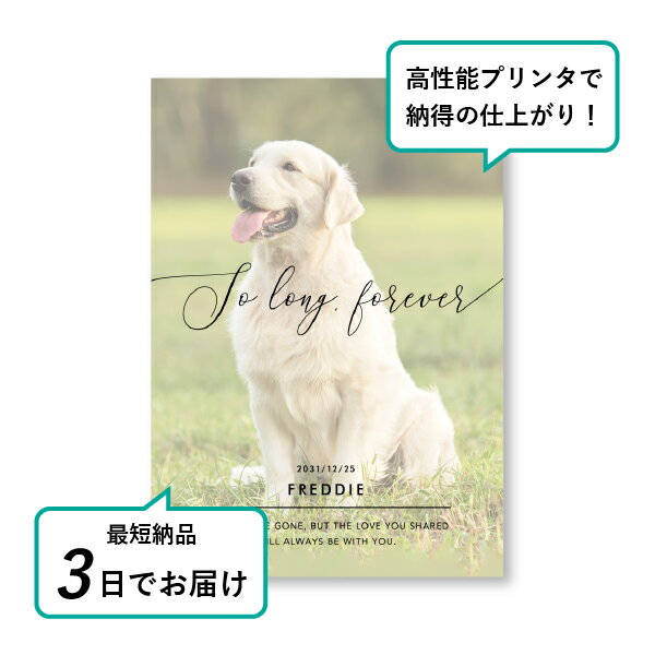 �ڥå� ���� �ե��ȥ��ꥢ��ܡ��ɡʥ��꡼���ե���01�� A5������(�ڥå� ���� �̿� ̾�� ǯ���� ��ǰ ���� ���ꥢ�륰�å� �ڥåȶ��� �ڥå�ʩ�� ���� �� ������� ǭ ������ �ϥॹ���� Ļ ��ưʪ �פ��� ���襤�� �������)