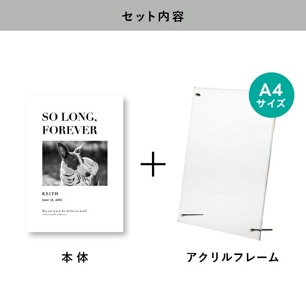 ペット 位牌 フォトメモリアルボード（ルーセント バーニー） A4サイズ(ペット 位...
