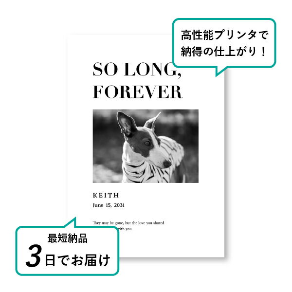 �ڥå� ���� �ե��ȥ��ꥢ��ܡ��ɡʥ롼����� �С��ˡ��� A4������(�ڥå� ���� �̿� ̾�� ǯ���� ��ǰ ���� ���ꥢ�륰�å� �ڥåȶ��� �ڥå�ʩ�� ���� �� ������� ǭ ������ �ϥॹ���� Ļ ��ưʪ �פ��� ���襤�� �������)