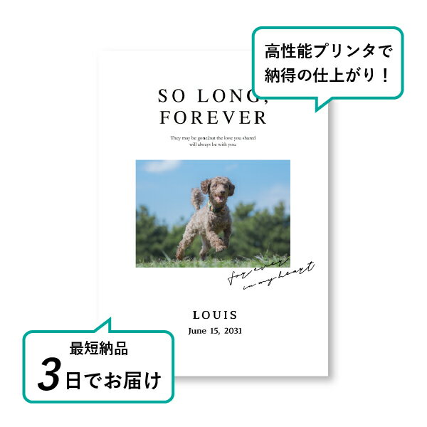 �ڥå� ���� �ե��ȥ��ꥢ��ܡ��ɡʥ롼����� �롼���� A4������(�ڥå� ���� �̿� ̾�� ǯ���� ��ǰ ���� ���ꥢ�륰�å� �ڥåȶ��� �ڥå�ʩ�� ���� �� ������� ǭ ������ �ϥॹ���� Ļ ��ưʪ �פ��� ���襤�� �������)