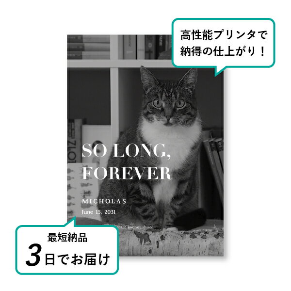 �ڥå� ���� �ե��ȥ��ꥢ��ܡ��ɡʥ롼����� �С��ˡ� �������� A5������(�ڥå� ���� �̿� ̾�� ǯ���� ��ǰ ���� ���ꥢ�륰�å� �ڥåȶ��� �ڥå�ʩ�� ���� �� ������� ǭ ������ �ϥॹ���� Ļ ��ưʪ �פ��� ���襤�� �������)