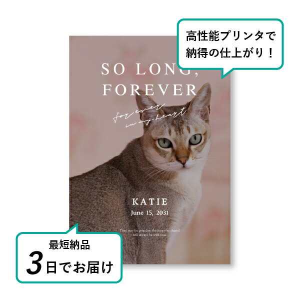 �ڥå� ���� �ե��ȥ��ꥢ��ܡ��ɡʥ롼����� �롼�� �������� A4������(�ڥå� ���� �̿� ̾�� ǯ���� ��ǰ ���� ���ꥢ�륰�å� �ڥåȶ��� �ڥå�ʩ�� ���� �� ������� ǭ ������ �ϥॹ���� Ļ ��ưʪ �פ��� ���襤�� �������)