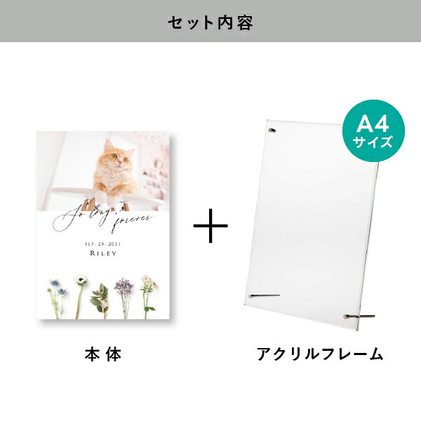 ペット 位牌 フォトメモリアルボード（シャルムドフルール ロイヤル） A4サイズ(ペ...