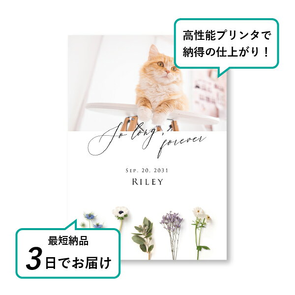 ペット 位牌 フォトメモリアルボード（シャルムドフルール ロイヤル） A4サイズ(ペ...