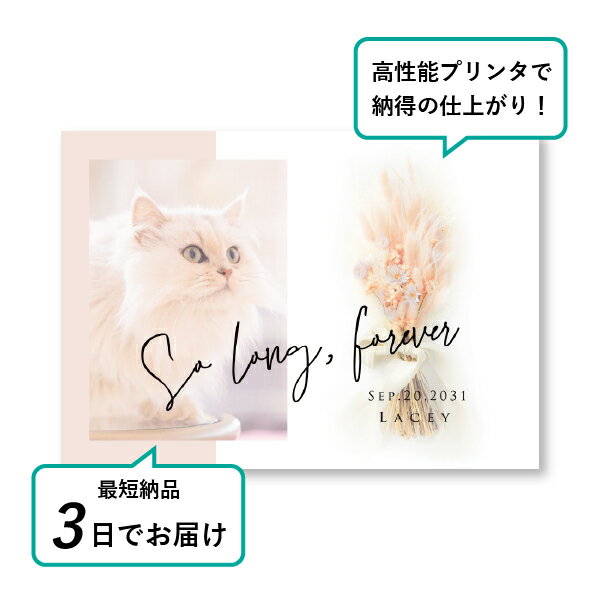 �ڥå� ���� �ե��ȥ��ꥢ��ܡ��ɡʥ�����ɥ֡��� �饰�饹�� A5������(�ڥå� ���� �̿� ̾�� ǯ���� ��ǰ ���� ���ꥢ�륰�å� �ڥåȶ��� �ڥå�ʩ�� ���� �� ������� ǭ ������ �ϥॹ���� Ļ ��ưʪ �פ��� ���襤�� �������)