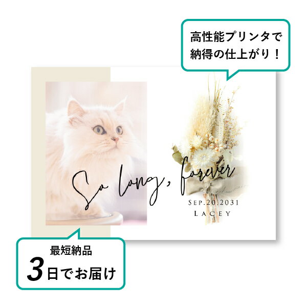 �ڥå� ���� �ե��ȥ��ꥢ��ܡ��ɡʥ�����ɥ֡��� ����С��ǡ������� A5������(�ڥå� ���� �̿� ̾�� ǯ���� ��ǰ ���� ���ꥢ�륰�å� �ڥåȶ��� �ڥå�ʩ�� ���� �� ������� ǭ ������ �ϥॹ���� Ļ ��ưʪ �פ��� ���襤�� �������)