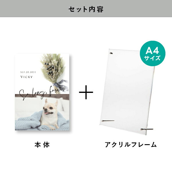 PIARY(ピアリー)楽天市場店のペット 位牌 フォトメモリアルボード（シャルムドブーケ ティートゥリー） A4サイズ(ペット 位牌 写真 名前 年月日 記念 形見 メモリアルグッズ ペット供養 ペット仏壇 初盆 犬 わんちゃん 猫 うさぎ ハムスター 鳥 小動物 思い出 かわいい おしゃれ)｜アングル2