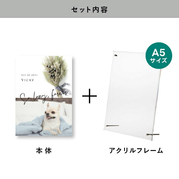 PIARY(ピアリー)楽天市場店のペット 位牌 フォトメモリアルボード（シャルムドブーケ ティートゥリー） A5サイズ(ペット 位牌 写真 名前 年月日 記念 形見 メモリアルグッズ ペット供養 ペット仏壇 初盆 犬 わんちゃん 猫 うさぎ ハムスター 鳥 小動物 思い出 かわいい おしゃれ)｜アングル2