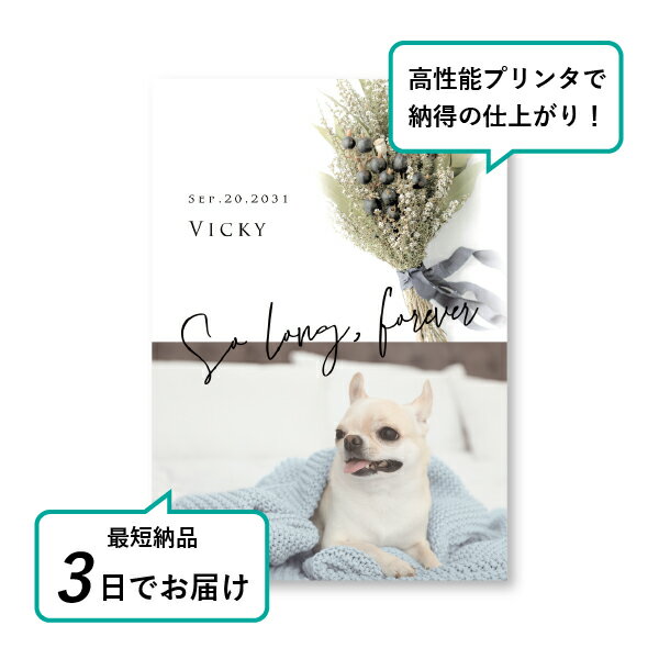 �ڥå� ���� �ե��ȥ��ꥢ��ܡ��ɡʥ�����ɥ֡��� �ƥ����ȥ��꡼�� A5������(�ڥå� ���� �̿� ̾�� ǯ���� ��ǰ ���� ���ꥢ�륰�å� �ڥåȶ��� �ڥå�ʩ�� ���� �� ������� ǭ ������ �ϥॹ���� Ļ ��ưʪ �פ��� ���襤�� �������)