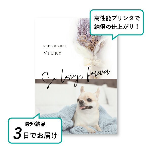 �ڥå� ���� �ե��ȥ��ꥢ��ܡ��ɡʥ�����ɥ֡��� ���������饹�� A5������(�ڥå� ���� �̿� ̾�� ǯ���� ��ǰ ���� ���ꥢ�륰�å� �ڥåȶ��� �ڥå�ʩ�� ���� �� ������� ǭ ������ �ϥॹ���� Ļ ��ưʪ �פ��� ���襤�� �������)