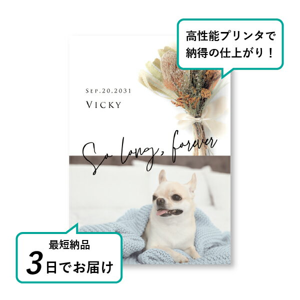 �ڥå� ���� �ե��ȥ��ꥢ��ܡ��ɡʥ�����ɥ֡��� �Х󥯥����� A4������(�ڥå� ���� �̿� ̾�� ǯ���� ��ǰ ���� ���ꥢ�륰�å� �ڥåȶ��� �ڥå�ʩ�� ���� �� ������� ǭ ������ �ϥॹ���� Ļ ��ưʪ �פ��� ���襤�� �������)