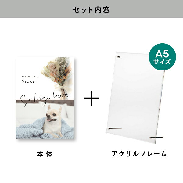 ペット 位牌 フォトメモリアルボード（シャルムドブーケ バンクシア） A5サイズ(ペ...