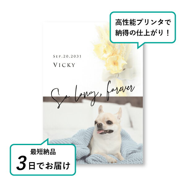 �ڥå� ���� �ե��ȥ��ꥢ��ܡ��ɡʥ�����ɥ֡��� �ѡ���ե��� A5������(�ڥå� ���� �̿� ̾�� ǯ���� ��ǰ ���� ���ꥢ�륰�å� �ڥåȶ��� �ڥå�ʩ�� ���� �� ������� ǭ ������ �ϥॹ���� Ļ ��ưʪ �פ��� ���襤�� �������)