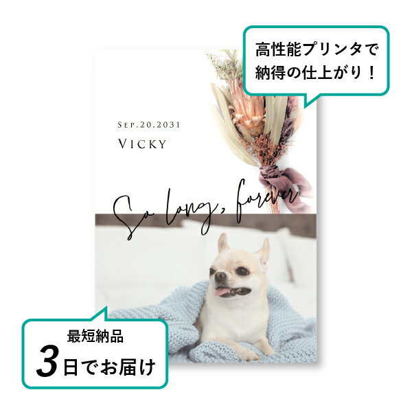 �ڥå� ���� �ե��ȥ��ꥢ��ܡ��ɡʥ�����ɥ֡��� �ץ��ƥ��� A4������(�ڥå� ���� �̿� ̾�� ǯ���� ��ǰ ���� ���ꥢ�륰�å� �ڥåȶ��� �ڥå�ʩ�� ���� �� ������� ǭ ������ �ϥॹ���� Ļ ��ưʪ �פ��� ���襤�� �������)