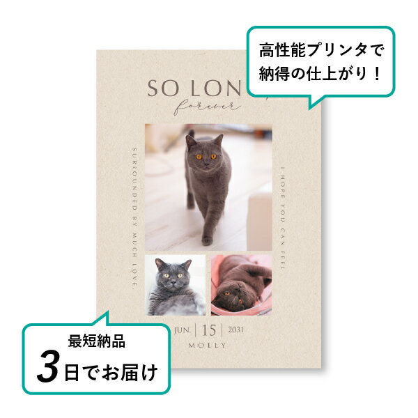 �ڥå� ���� �ե��ȥ��ꥢ��ܡ��ɡʥ٥��ȥ⡼���� �������١������ A5������(�ڥå� ���� �̿� ̾�� ǯ���� ��ǰ ���� ���ꥢ�륰�å� �ڥåȶ��� �ڥå�ʩ�� ���� �� ������� ǭ ������ �ϥॹ���� Ļ ��ưʪ �פ��� ���襤�� �������)