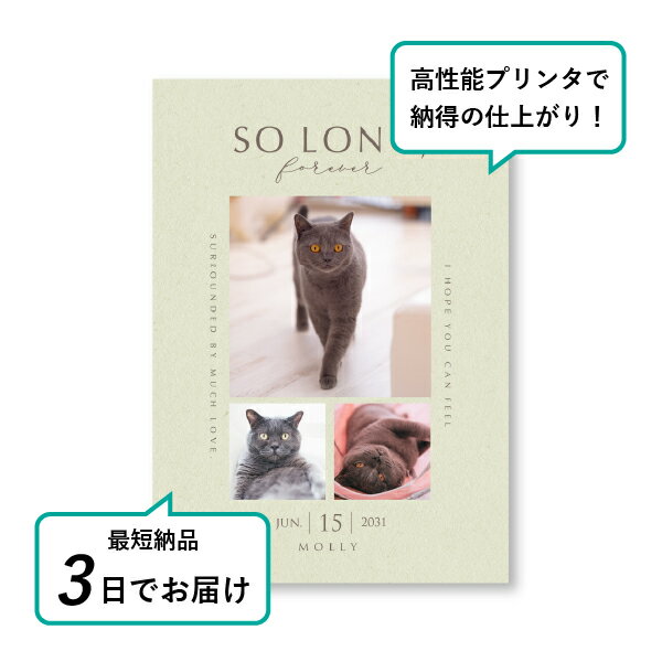 �ڥå� ���� �ե��ȥ��ꥢ��ܡ��ɡʥ٥��ȥ⡼���� �������륰�꡼��� A5������(�ڥå� ���� �̿� ̾�� ǯ���� ��ǰ ���� ���ꥢ�륰�å� �ڥåȶ��� �ڥå�ʩ�� ���� �� ������� ǭ ������ �ϥॹ���� Ļ ��ưʪ �פ��� ���襤�� �������)