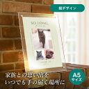 フォトメモリアルボード(ベストモーメント ヴェールグリーン) A5サイズ(ペット 位牌 写真 名前 年月日 記念 形見 メモリアルグッズ ペット供養 ペット仏壇...