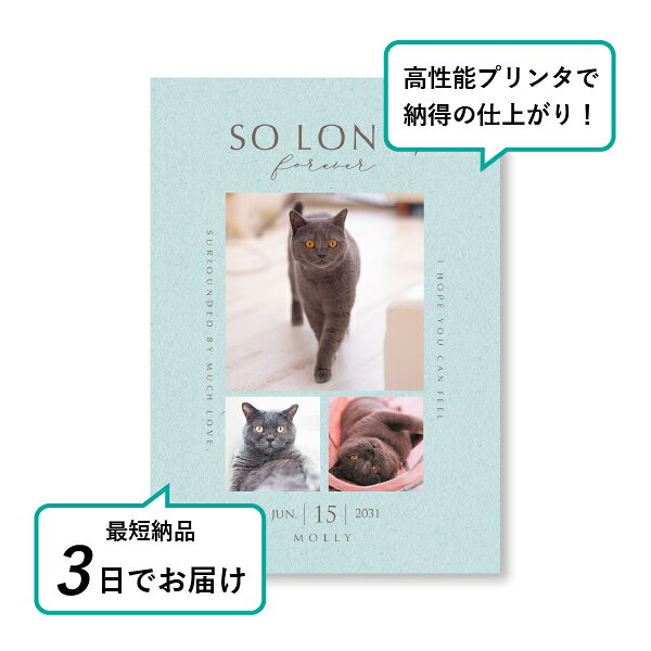 �ڥå� ���� �ե��ȥ��ꥢ��ܡ��ɡʥ٥��ȥ⡼���� �����ƥ��֥롼�� A4������(�ڥå� ���� �̿� ̾�� ǯ���� ��ǰ ���� ���ꥢ�륰�å� �ڥåȶ��� �ڥå�ʩ�� ���� �� ������� ǭ ������ �ϥॹ���� Ļ ��ưʪ �פ��� ���襤�� �������)