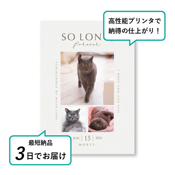 �ڥå� ���� �ե��ȥ��ꥢ��ܡ��ɡʥ٥��ȥ⡼���� �ۥ磻�ȥ��ե���� A4������(�ڥå� ���� �̿� ̾�� ǯ���� ��ǰ ���� ���ꥢ�륰�å� �ڥåȶ��� �ڥå�ʩ�� ���� �� ������� ǭ ������ �ϥॹ���� Ļ ��ưʪ �פ��� ���襤�� �������)