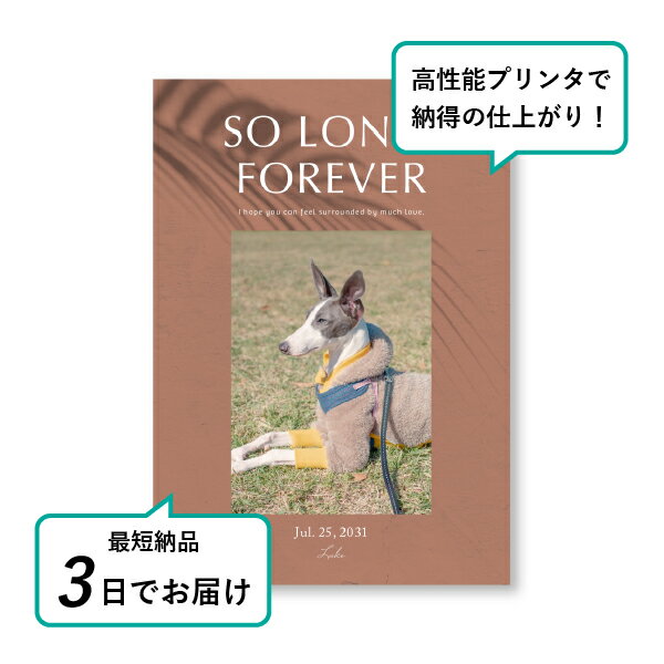 �ڥå� ���� �ե��ȥ��ꥢ��ܡ��ɡʥ顦�롼���� �ƥ饳�å��ԥ󥯡� A5������(�ڥå� ���� �̿� ̾�� ǯ���� ��ǰ ���� ���ꥢ�륰�å� �ڥåȶ��� �ڥå�ʩ�� ���� �� ������� ǭ ������ �ϥॹ���� Ļ ��ưʪ �פ��� ���襤�� �������)