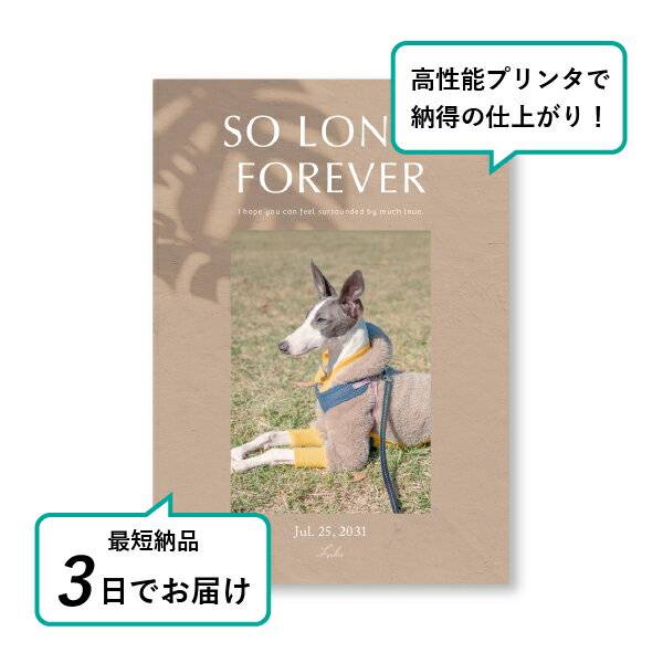 �ڥå� ���� �ե��ȥ��ꥢ��ܡ��ɡʥ顦�롼���� ���ʥ��١������ A5������(�ڥå� ���� �̿� ̾�� ǯ���� ��ǰ ���� ���ꥢ�륰�å� �ڥåȶ��� �ڥå�ʩ�� ���� �� ������� ǭ ������ �ϥॹ���� Ļ ��ưʪ �פ��� ���襤�� �������)