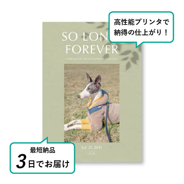 �ڥå� ���� �ե��ȥ��ꥢ��ܡ��ɡʥ顦�롼���� ���⡼�����꡼��� A5������(�ڥå� ���� �̿� ̾�� ǯ���� ��ǰ ���� ���ꥢ�륰�å� �ڥåȶ��� �ڥå�ʩ�� ���� �� ������� ǭ ������ �ϥॹ���� Ļ ��ưʪ �פ��� ���襤�� �������)