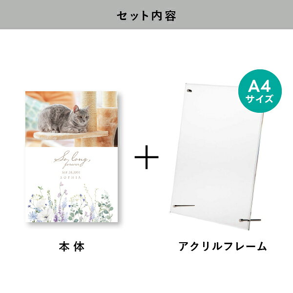 ペット 位牌 フォトメモリアルボード（エアリーブーケ アネモネブルー） A4サイズ(...