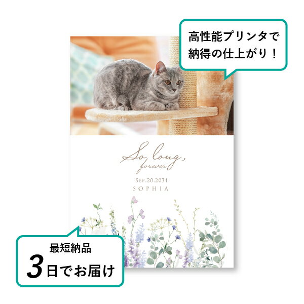 �ڥå� ���� �ե��ȥ��ꥢ��ܡ��ɡʥ����꡼�֡��� ���ͥ�֥ͥ롼�� A4������(�ڥå� ���� �̿� ̾�� ǯ���� ��ǰ ���� ���ꥢ�륰�å� �ڥåȶ��� �ڥå�ʩ�� ���� �� ������� ǭ ������ �ϥॹ���� Ļ ��ưʪ �פ��� ���襤�� �������)