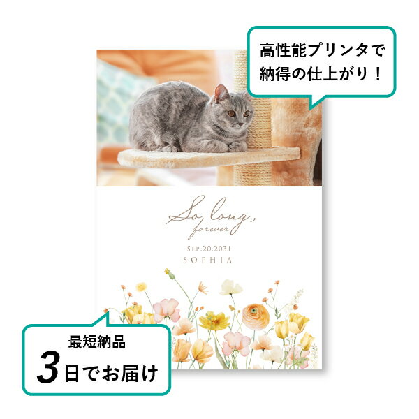 �ڥå� ���� �ե��ȥ��ꥢ��ܡ��ɡʥ����꡼�֡��� ��ʥ󥭥�饹����󥸡� A5������(�ڥå� ���� �̿� ̾�� ǯ���� ��ǰ ���� ���ꥢ�륰�å� �ڥåȶ��� �ڥå�ʩ�� ���� �� ������� ǭ ������ �ϥॹ���� Ļ ��ưʪ �פ��� ���襤�� �������)