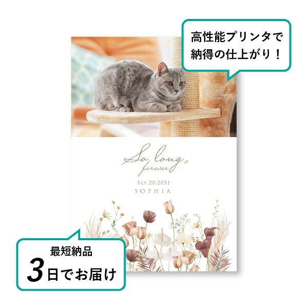 �ڥå� ���� �ե��ȥ��ꥢ��ܡ��ɡʥ����꡼�֡��� �ѥ�ѥ��֥饦��� A4������(�ڥå� ���� �̿� ̾�� ǯ���� ��ǰ ���� ���ꥢ�륰�å� �ڥåȶ��� �ڥå�ʩ�� ���� �� ������� ǭ ������ �ϥॹ���� Ļ ��ưʪ �פ��� ���襤�� �������)