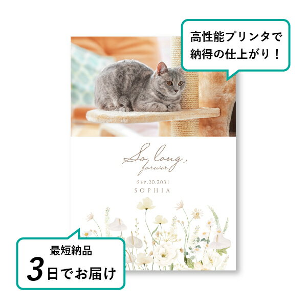 �ڥå� ���� �ե��ȥ��ꥢ��ܡ��ɡʥ����꡼�֡��� ���󥹥ꥦ��ۥ磻�ȡ� A4������(�ڥå� ���� �̿� ̾�� ǯ���� ��ǰ ���� ���ꥢ�륰�å� �ڥåȶ��� �ڥå�ʩ�� ���� �� ������� ǭ ������ �ϥॹ���� Ļ ��ưʪ �פ��� ���襤�� �������)