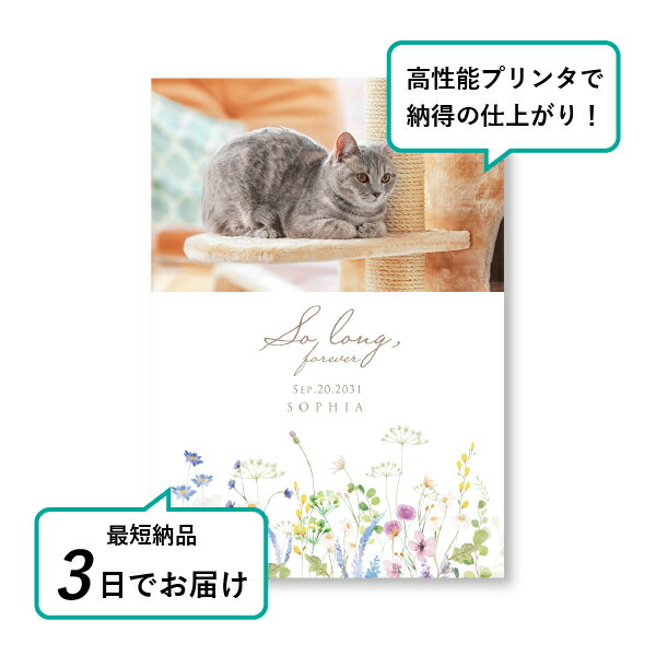 �ڥå� ���� �ե��ȥ��ꥢ��ܡ��ɡʥ����꡼�֡��� �ߥå����ե��� A4������(�ڥå� ���� �̿� ̾�� ǯ���� ��ǰ ���� ���ꥢ�륰�å� �ڥåȶ��� �ڥå�ʩ�� ���� �� ������� ǭ ������ �ϥॹ���� Ļ ��ưʪ �פ��� ���襤�� �������)