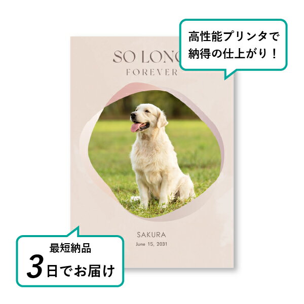 �ڥå� ���� �ե��ȥ��ꥢ��ܡ��ɡʥߥ��ƥ� ������ԥ󥯡� A5������(�ڥå� ���� �̿� ̾�� ǯ���� ��ǰ ���� ���ꥢ�륰�å� �ڥåȶ��� �ڥå�ʩ�� ���� �� ������� ǭ ������ �ϥॹ���� Ļ ��ưʪ �פ��� ���襤�� �������)