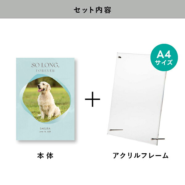 ペット 位牌 フォトメモリアルボード（ミスティ アイスブルー） A4サイズ(ペット ...