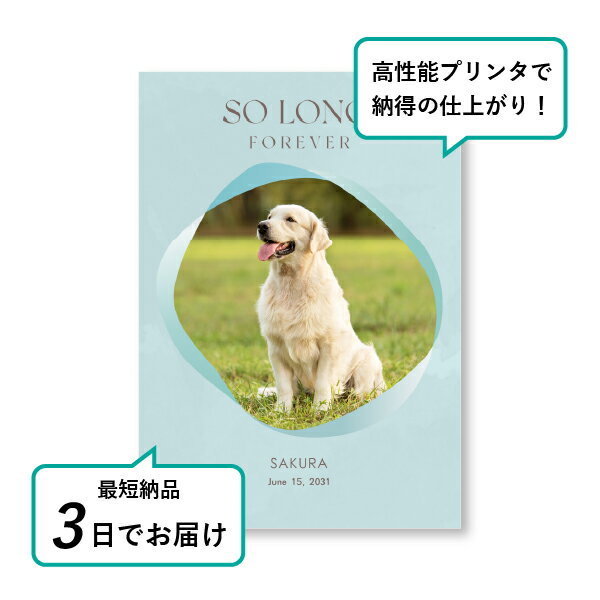 �ڥå� ���� �ե��ȥ��ꥢ��ܡ��ɡʥߥ��ƥ� �������֥롼�� A4������(�ڥå� ���� �̿� ̾�� ǯ���� ��ǰ ���� ���ꥢ�륰�å� �ڥåȶ��� �ڥå�ʩ�� ���� �� ������� ǭ ������ �ϥॹ���� Ļ ��ưʪ �פ��� ���襤�� �������)